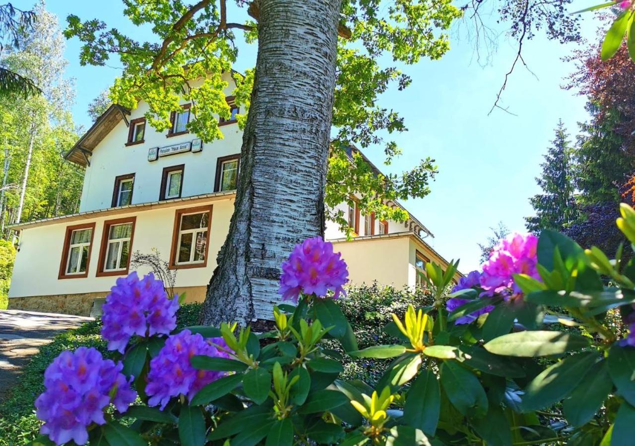 Pension Haus Anna Altenberg Exterior photo